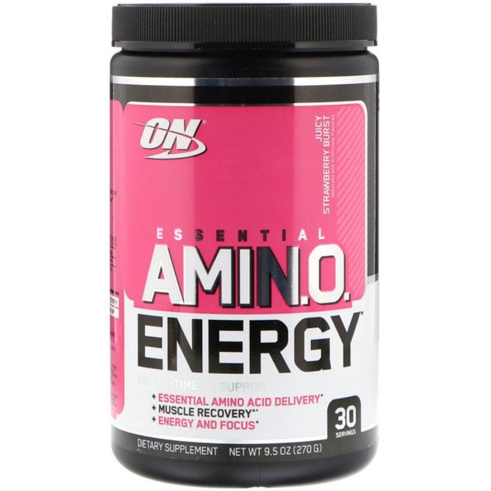 AMINO ENERGY 30 SERVS