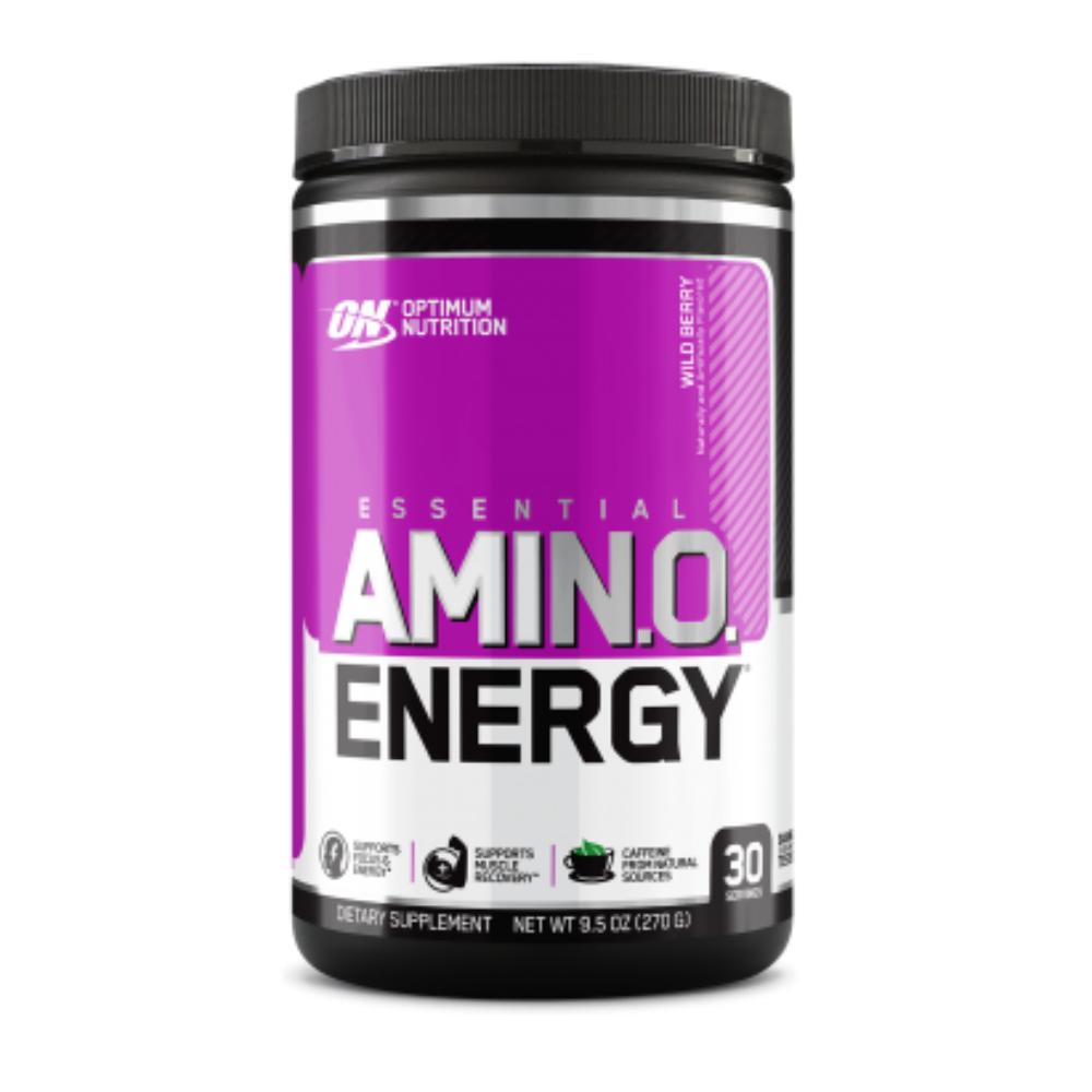 AMINO ENERGY 30 SERVS