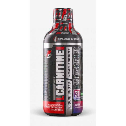 L-CARNITINE 3000 31 SERVS